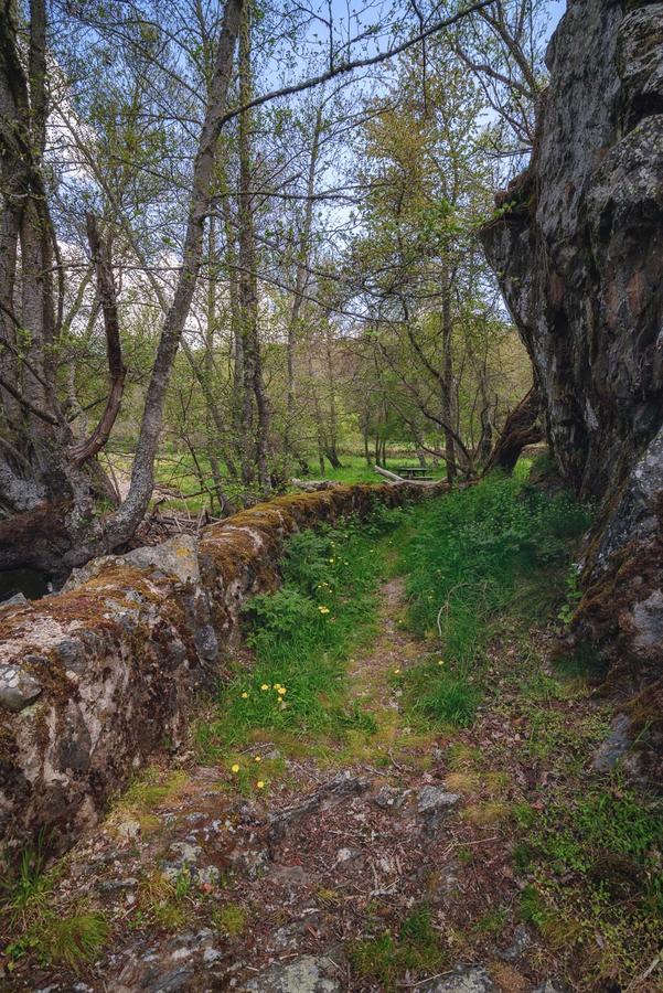 Casa Rural Aguas Frias I La Omañuela エクステリア 写真