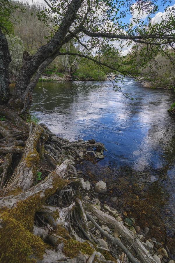 Casa Rural Aguas Frias I La Omañuela エクステリア 写真